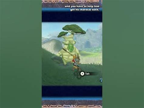 How to Add more Inventory Slots in Zelda Breath of The Wild .